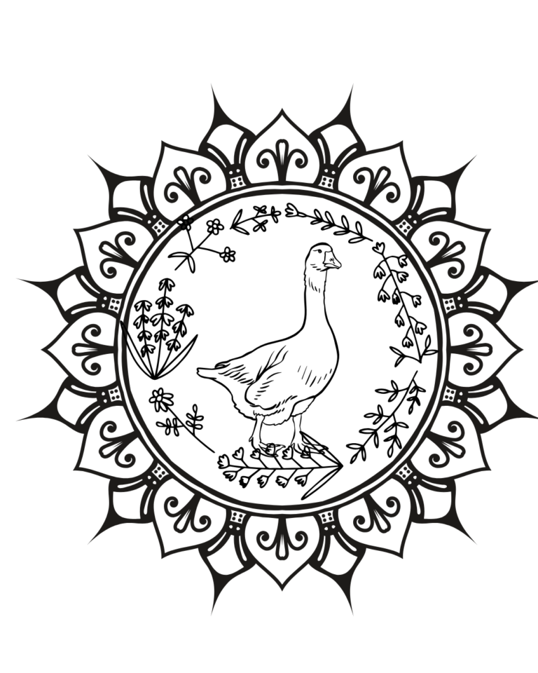 Understanding the Most Common House Systems in Astrology